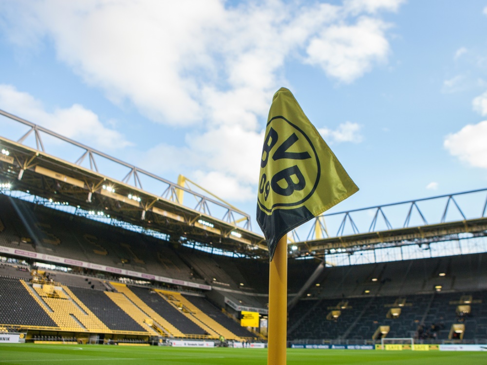 Dortmund hat das nächste Zukunftsversprechen vepflichtet (Foto: FIRO/FIRO/SID)