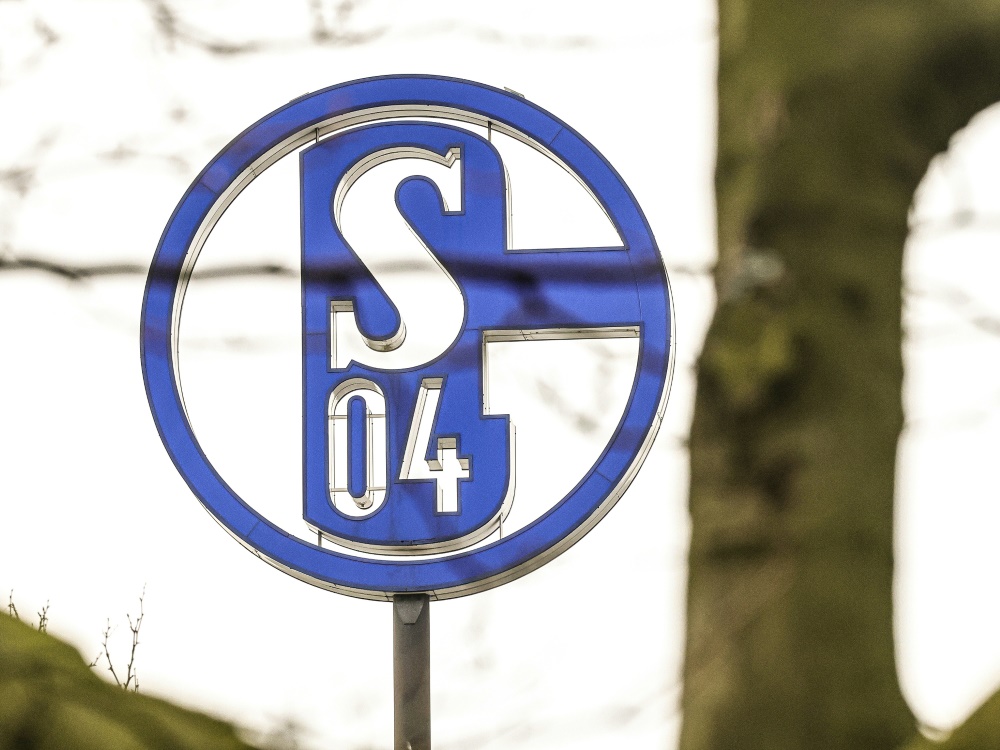 Bei der Schalker U15 gab es einen Spielabbruch (Foto: FIRO/FIRO/SID)