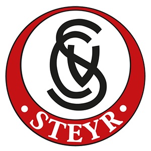 steyr-big.jpg