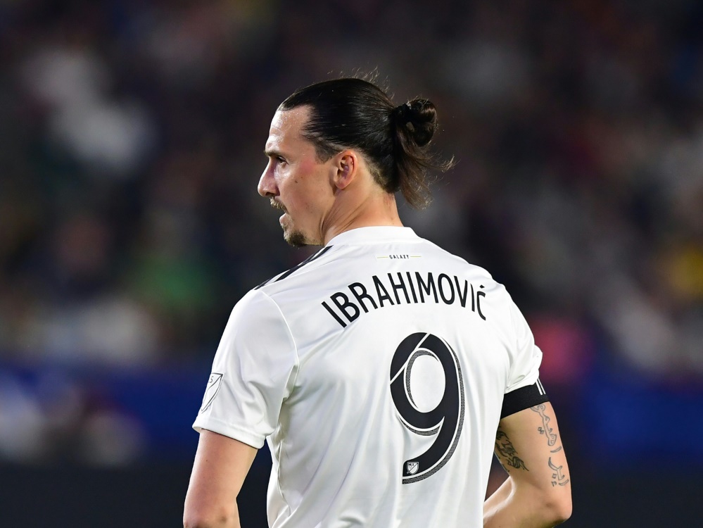Wurde für zwei Spiele gesperrt: Zlatan Ibrahimovic