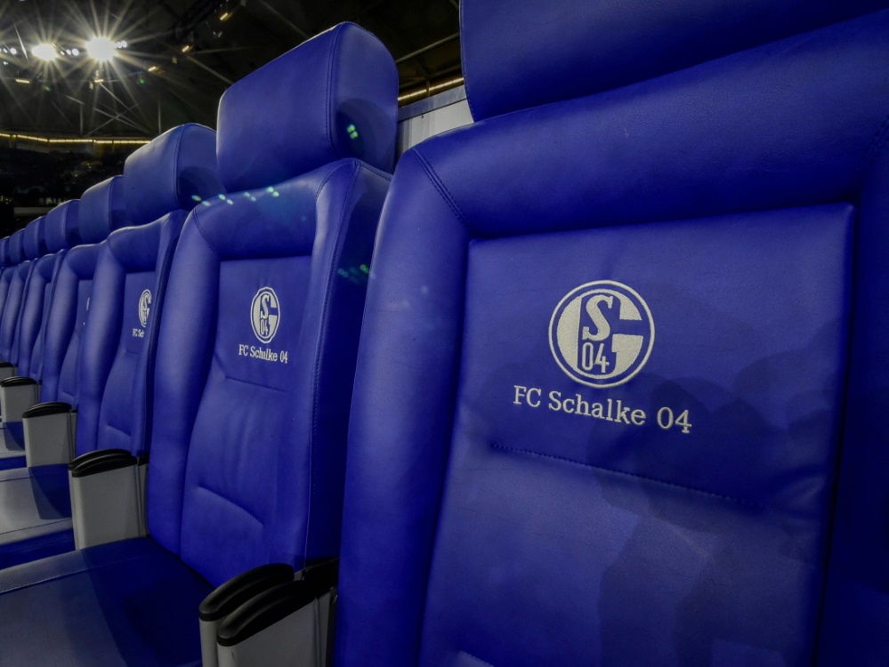 Schalke 04 ist zum dritten Mal in Serie Veggie-Meister