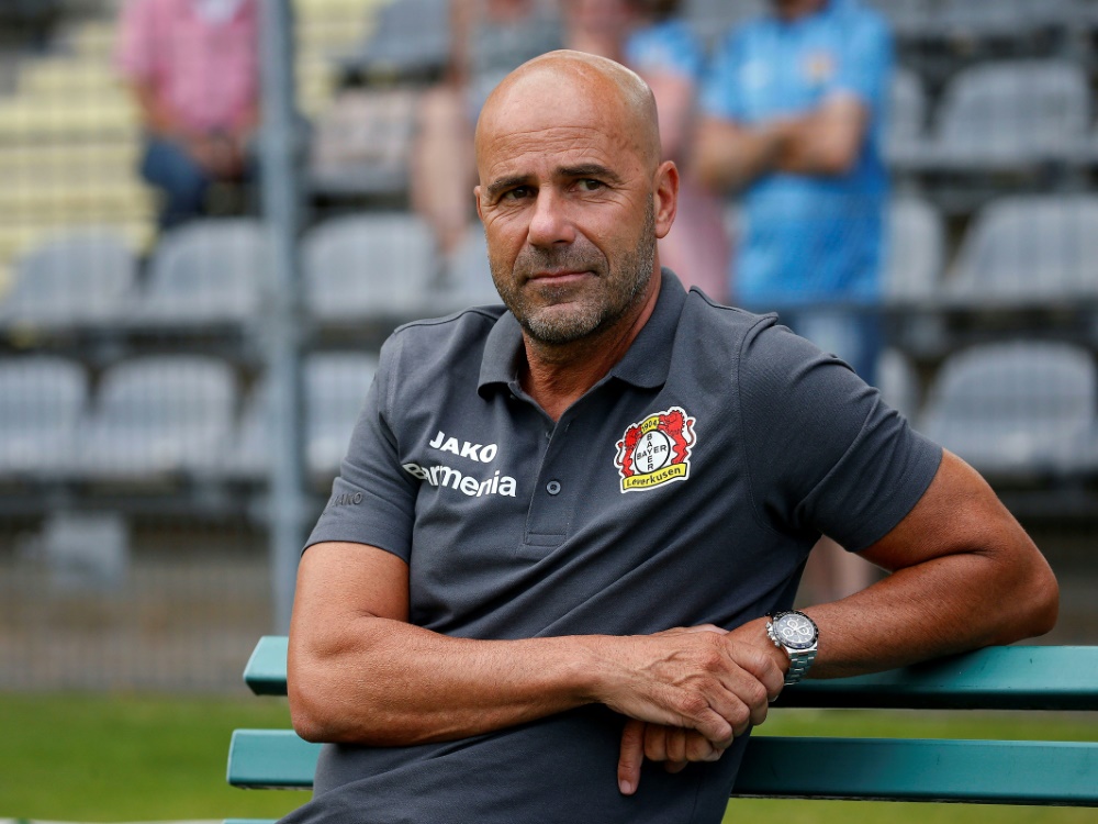Leverkusen will eine Vertragsverlängerung mit Peter Bosz