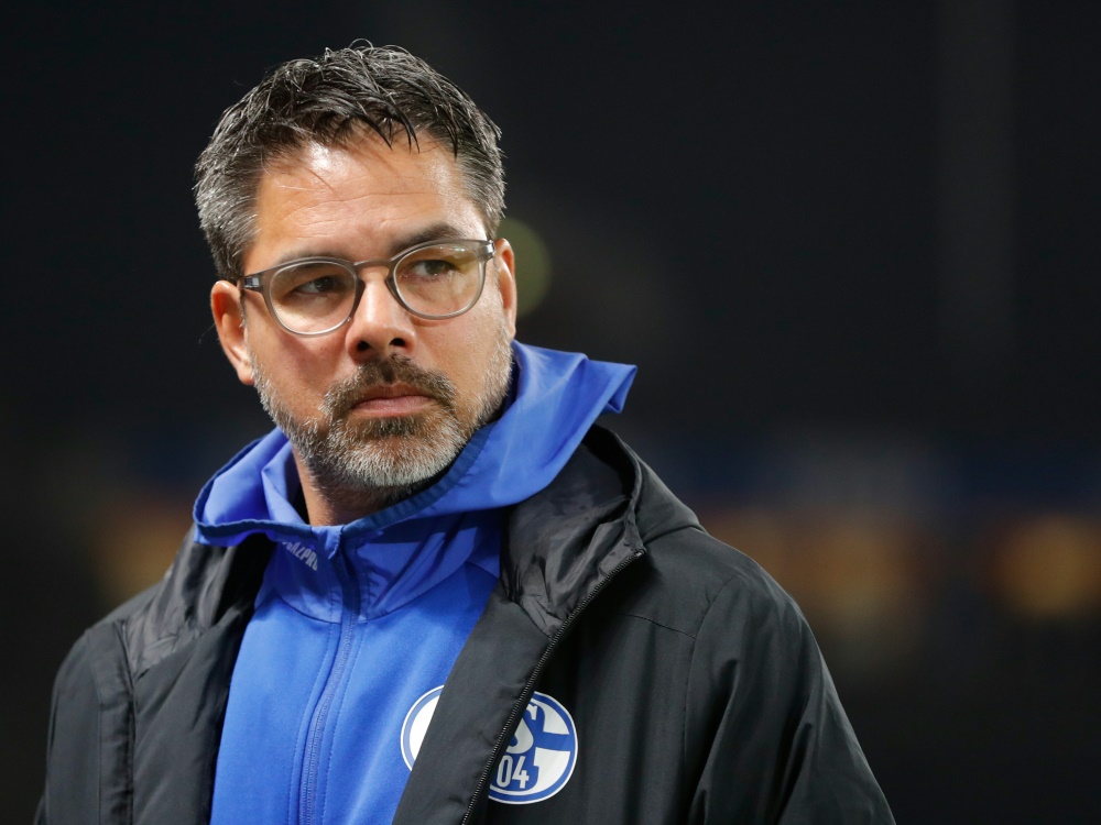 Wagner ist seit dieser Saison Cheftrainer von Schalke 04