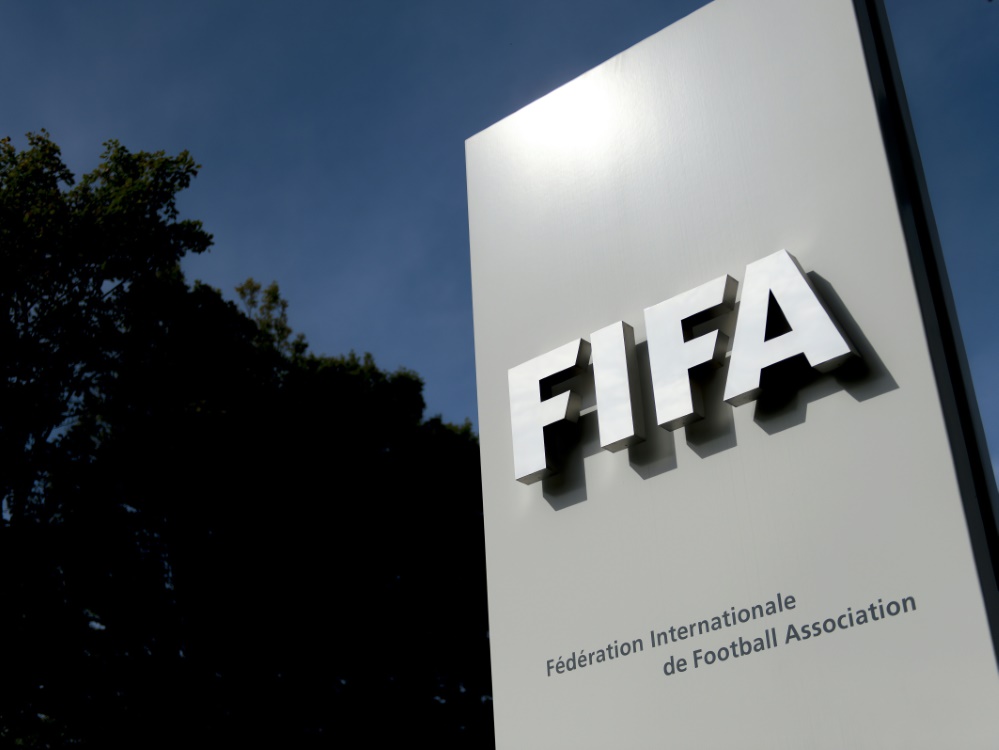 FIFA unterstützt den DFB mit finanziellen Mitteln