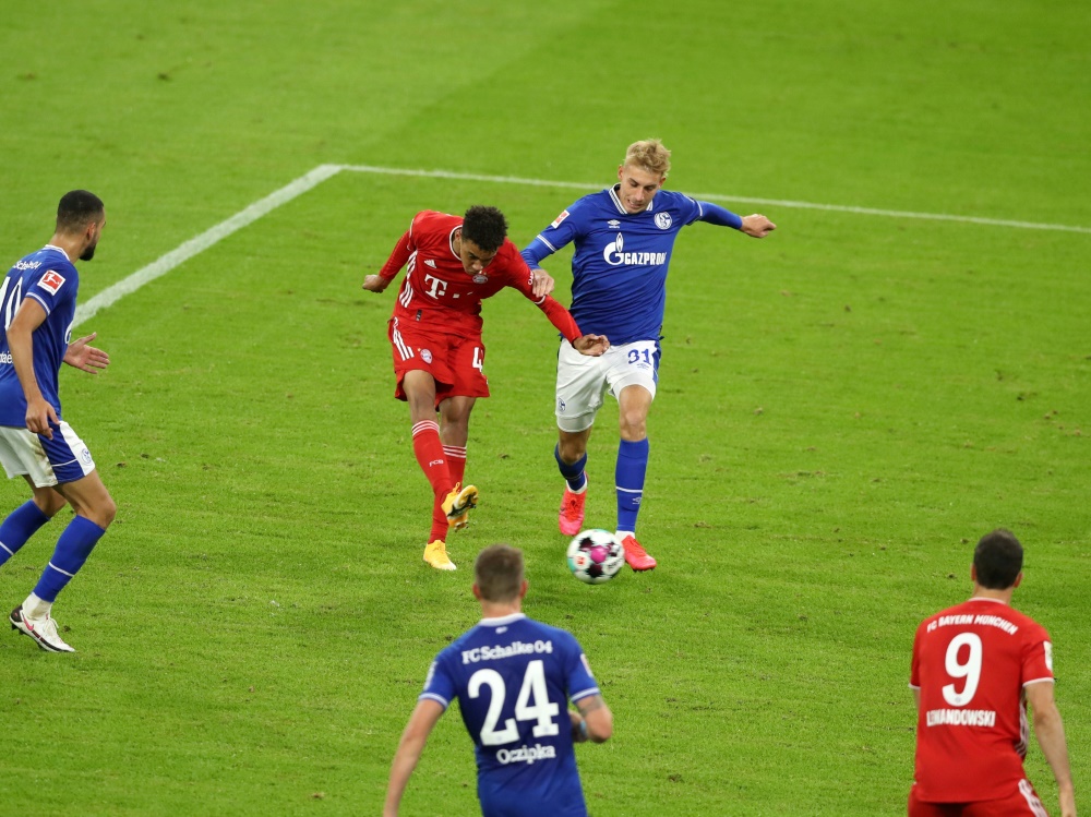 Musiala (2.v.l.) traf gegen Schalke