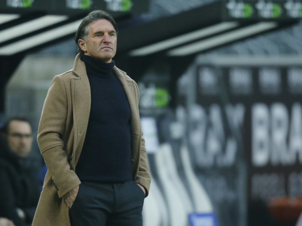 Labbadia und Hertha BSC wollen gegen Hoffenheim punkten