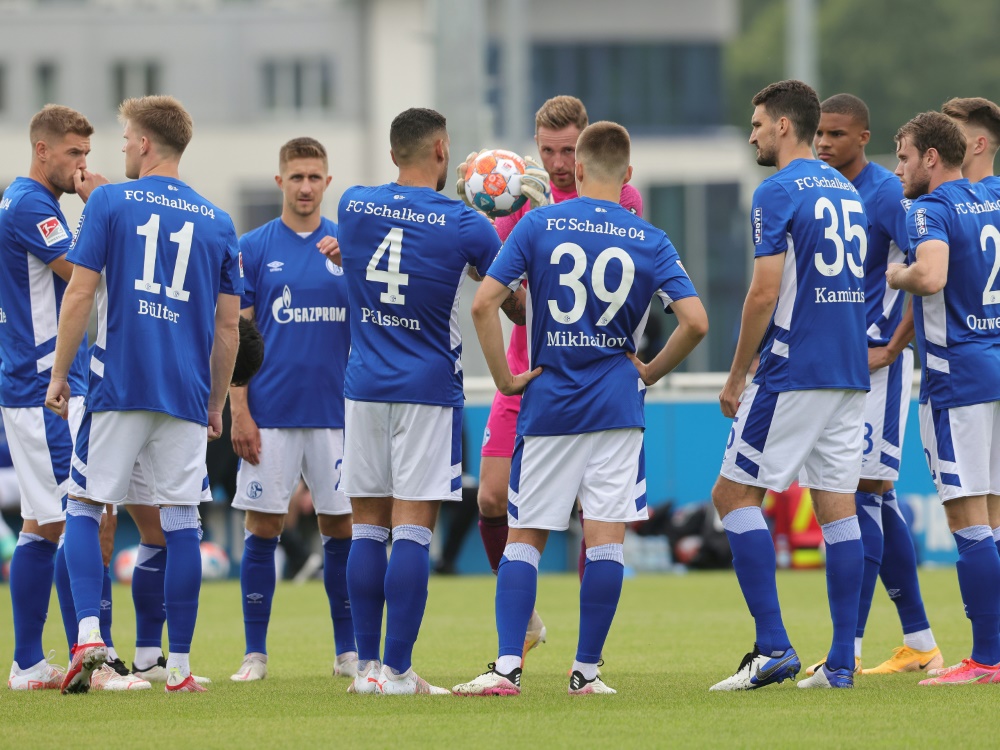Schalke spielt gleich mit acht Neuzugängen gegen den HSV (Foto: SID)