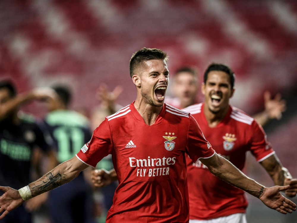 Julian Weigl bringt Benfica auf Champions-League-Kurs (Foto: SID)