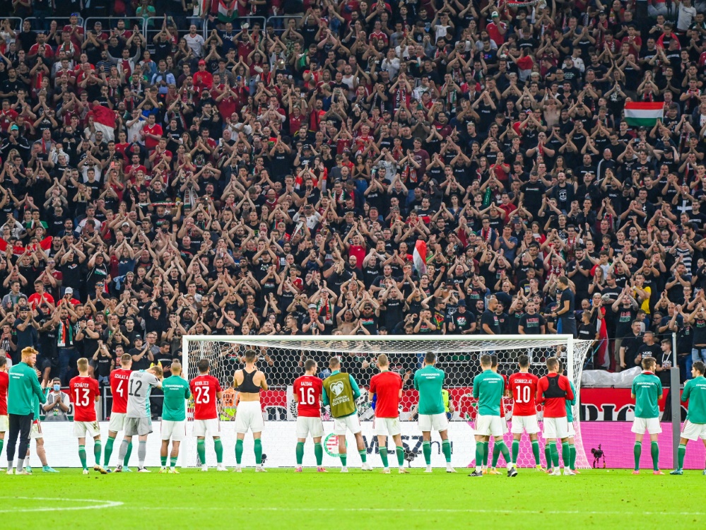FIFA bestraft die Ungarn (Foto: SID)