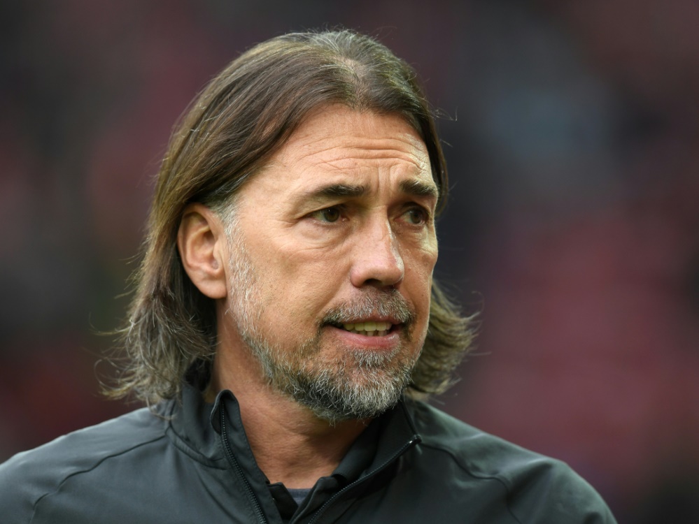 Sportdirektor beim FSV Mainz 05: Martin Schmidt