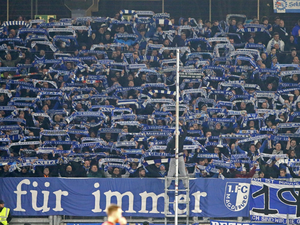 Daniel Elfadli verstärkt den 1. FC Magdeburg (Foto: FIRO/FIRO/SID)
