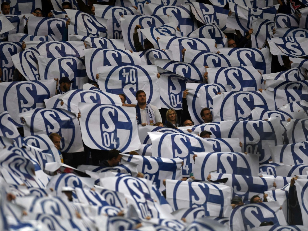 Der Klassenerhalt ist das große Ziel für Schalke (Foto: AFP/SID/PATRIK STOLLARZ)