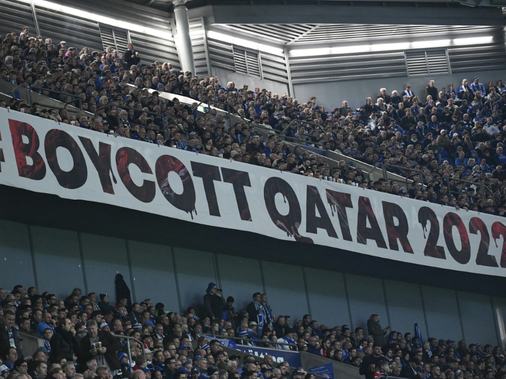 Auch die Schalker Fans protestieren gegen die WM (Foto: AFP/SID/UWE KRAFT)