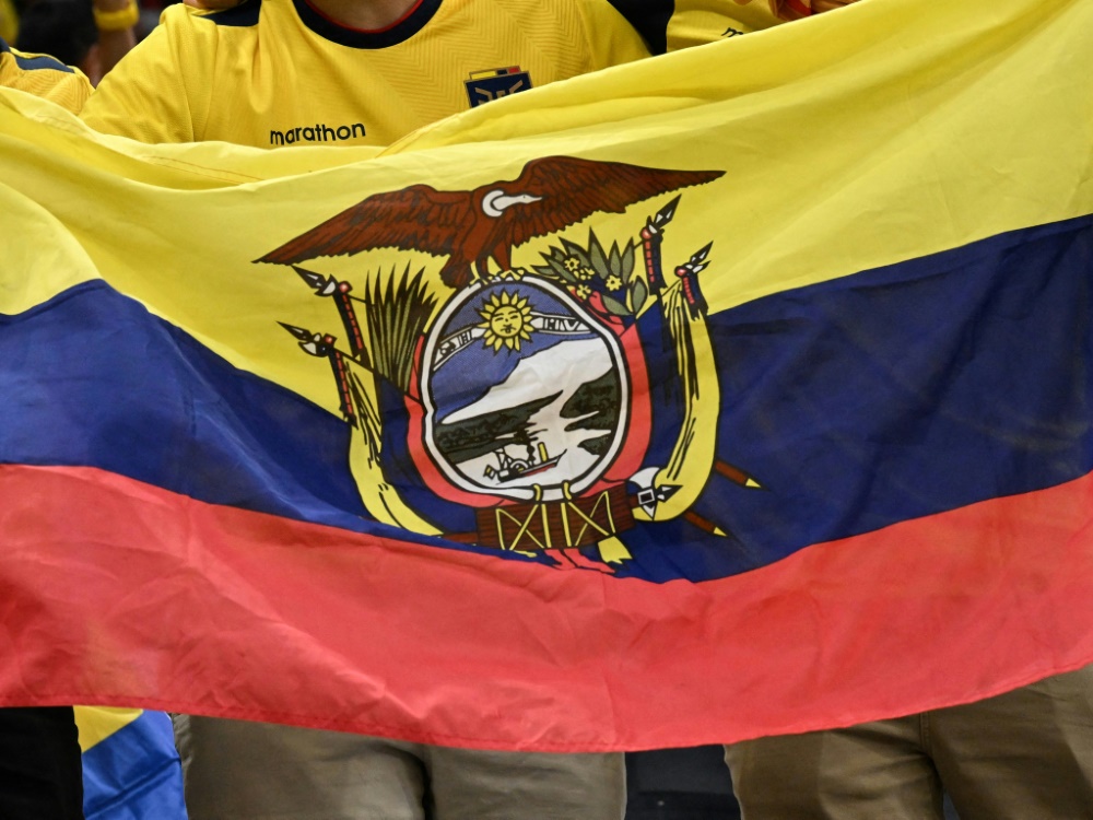 Verfahren gegen Ecuadors Verband eingeleitet (Foto: AFP/SID/RAUL ARBOLEDA)