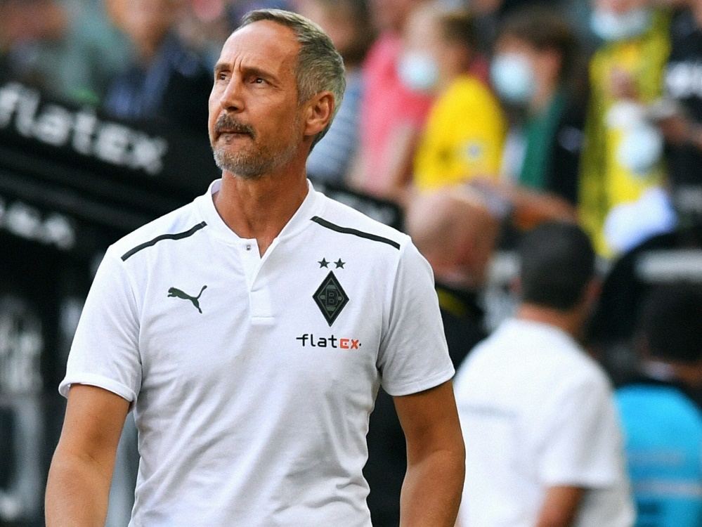 Adi Hütter coachte zuletzt Borussia Mönchengladbach (Foto: AFP/SID/UWE KRAFT)
