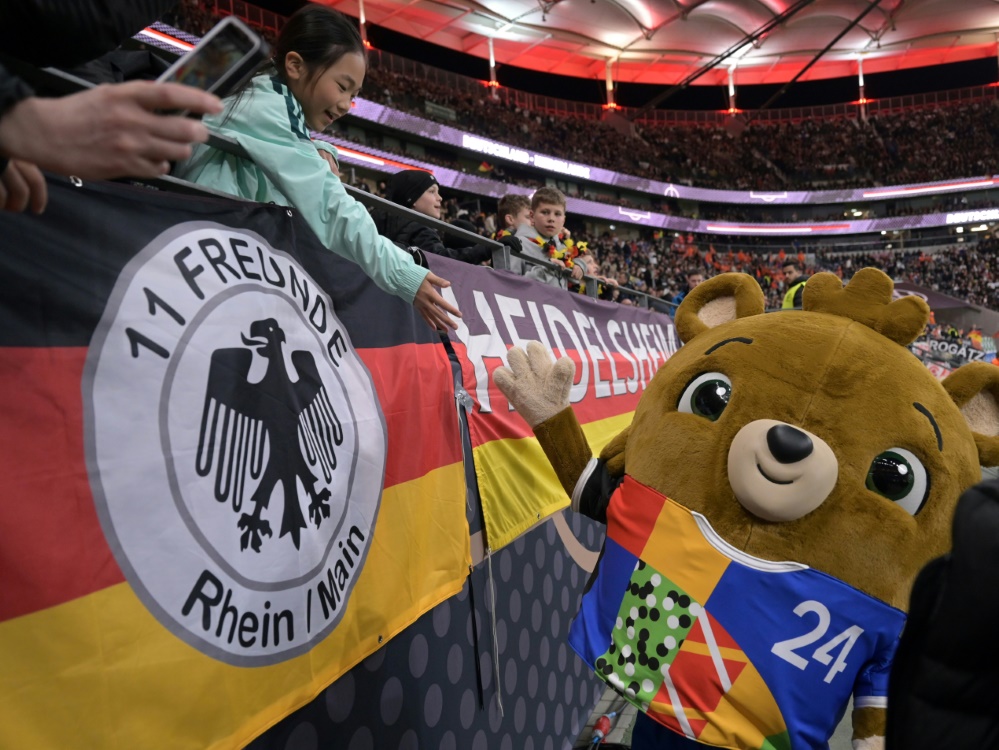 Der DFB plant eine Fahnen-Aktion für die Heim-EM (Foto: AFP/SID/Kirill KUDRYAVTSEV)