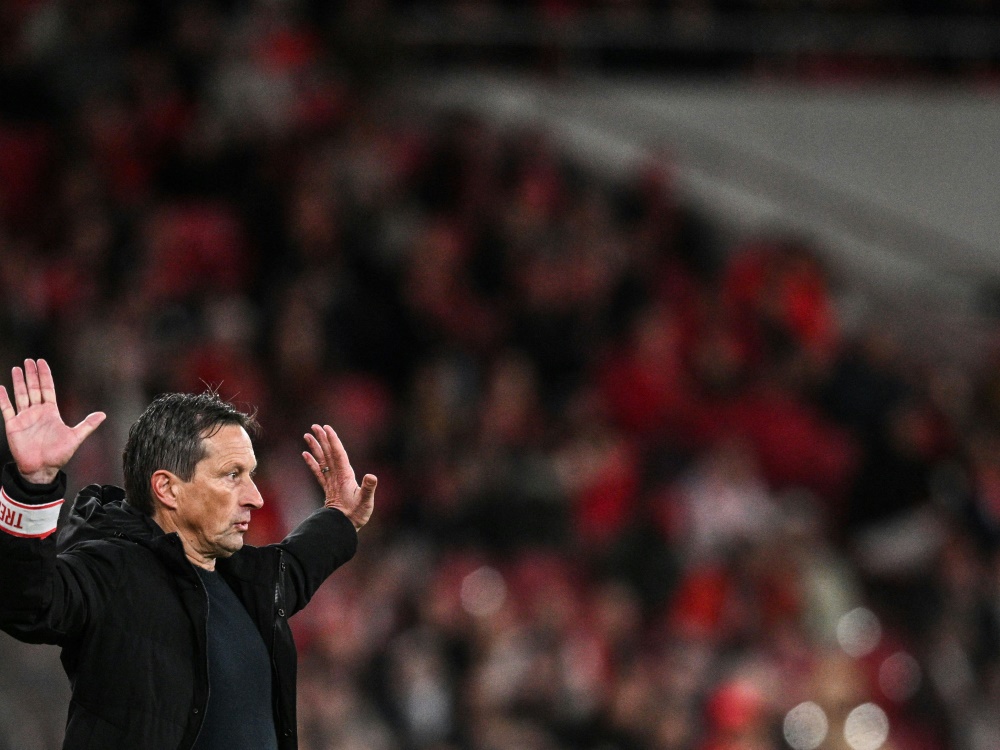 Benfica-Trainer Roger Schmidt (Foto: AFP/SID/PATRICIA DE MELO MOREIRA)