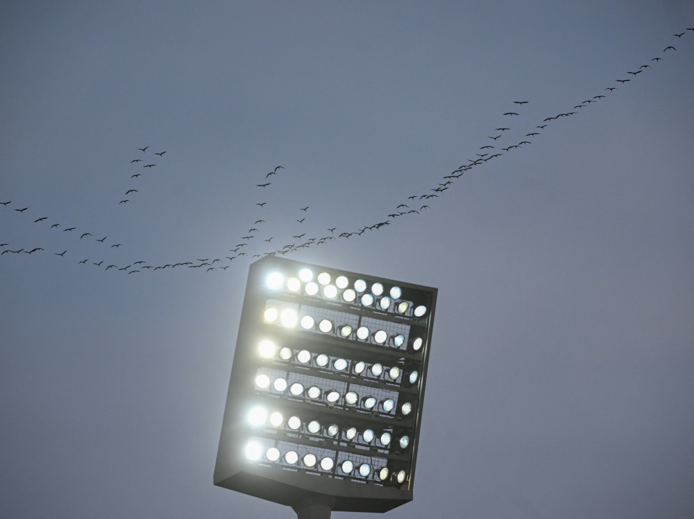 Flutlichtspiel in Bochum (Foto: AFP/SID/INA FASSBENDER)